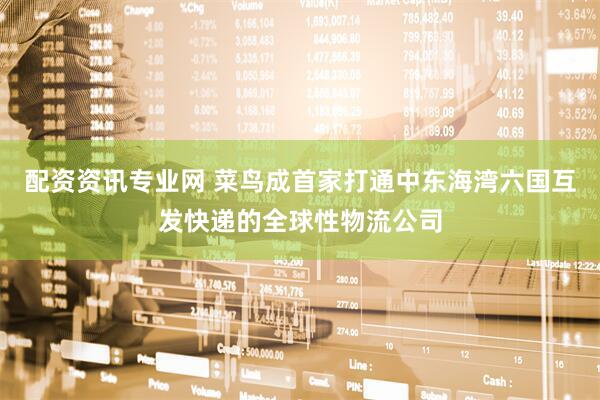 配资资讯专业网 菜鸟成首家打通中东海湾六国互发快递的全球性物流公司