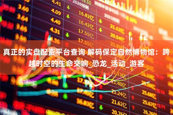 真正的实盘配资平台查询 解码保定自然博物馆：跨越时空的生命交响_恐龙_活动_游客